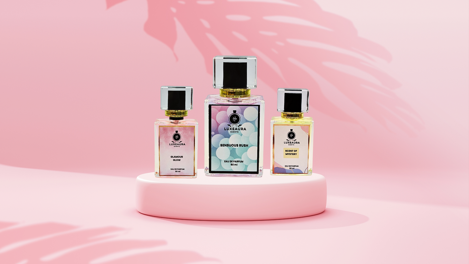 Women Collection